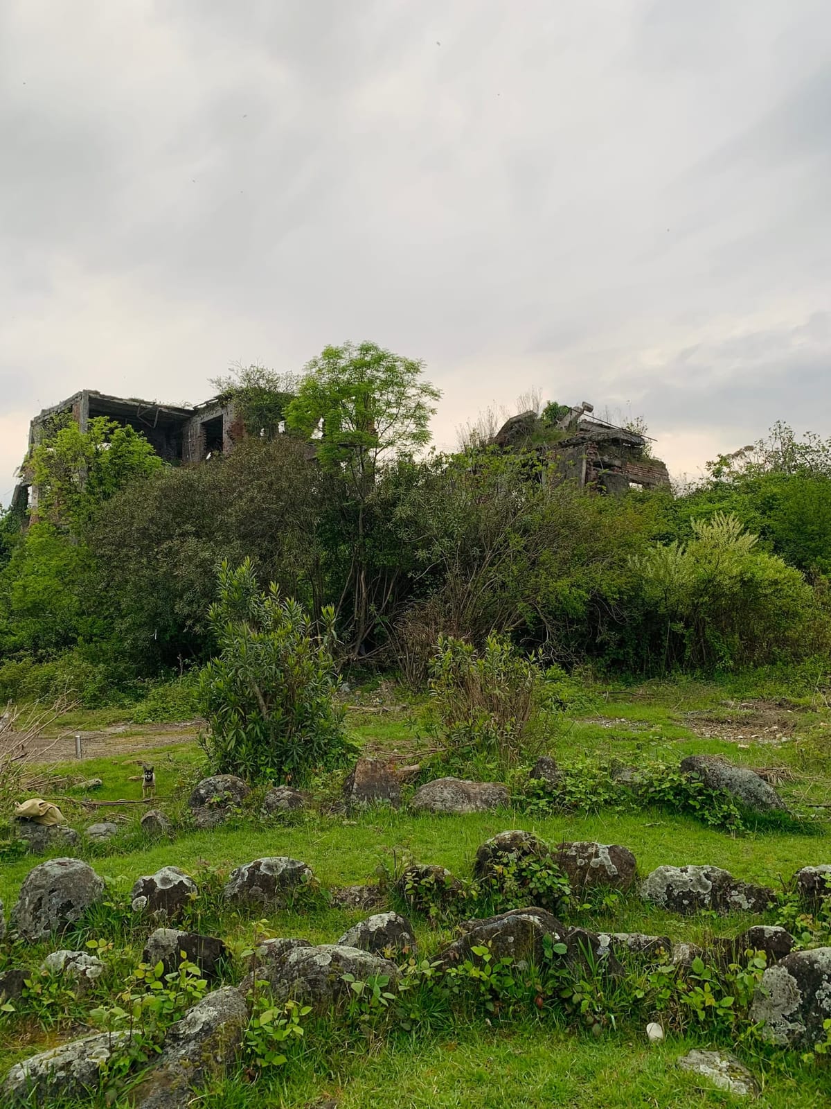 Эшерские кромлехи — фото 2
