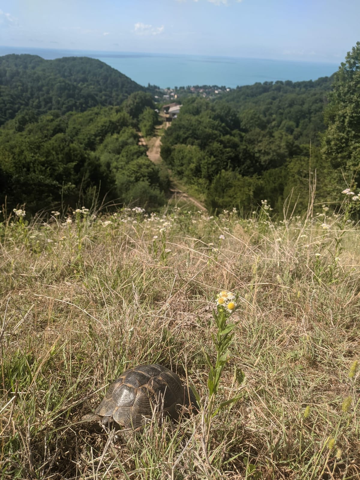 Гора Агараки — фото 6