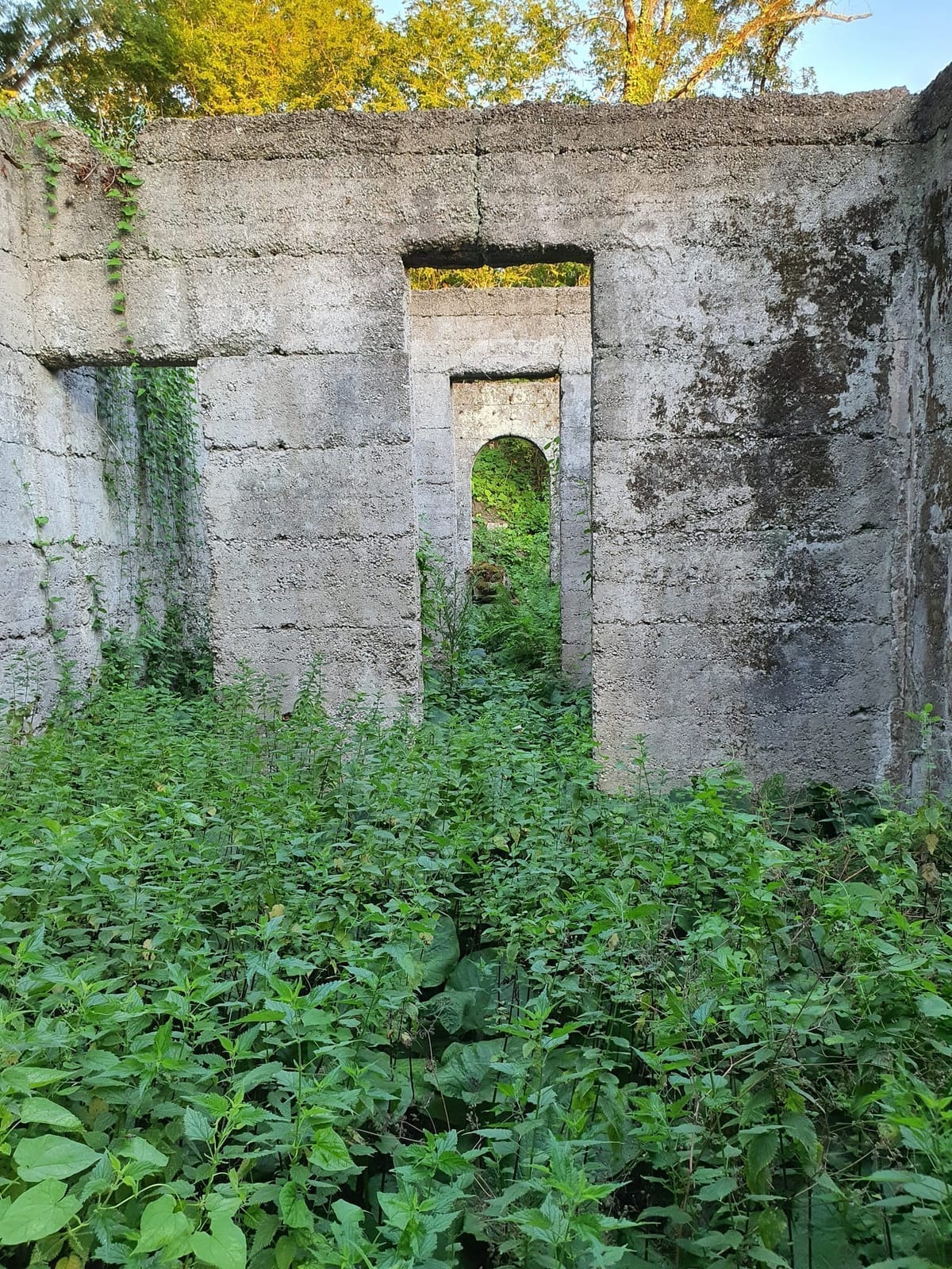 Развалины имения Лианозова — фото 4