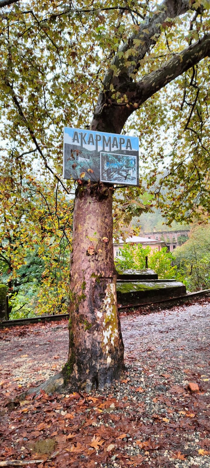 Верхняя станция Ткварчельской канатной дороги — фото 6
