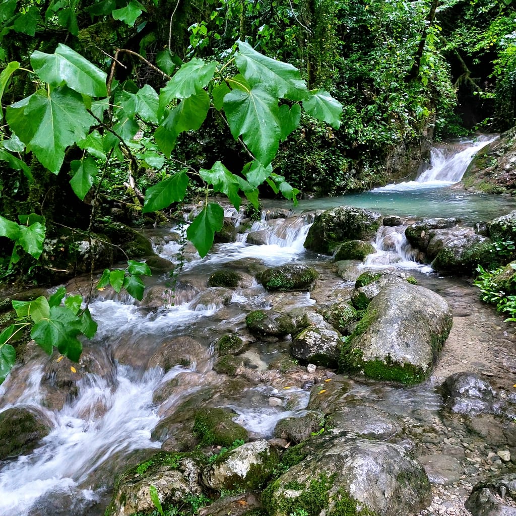 Водопад (Пицунда) — фото 3