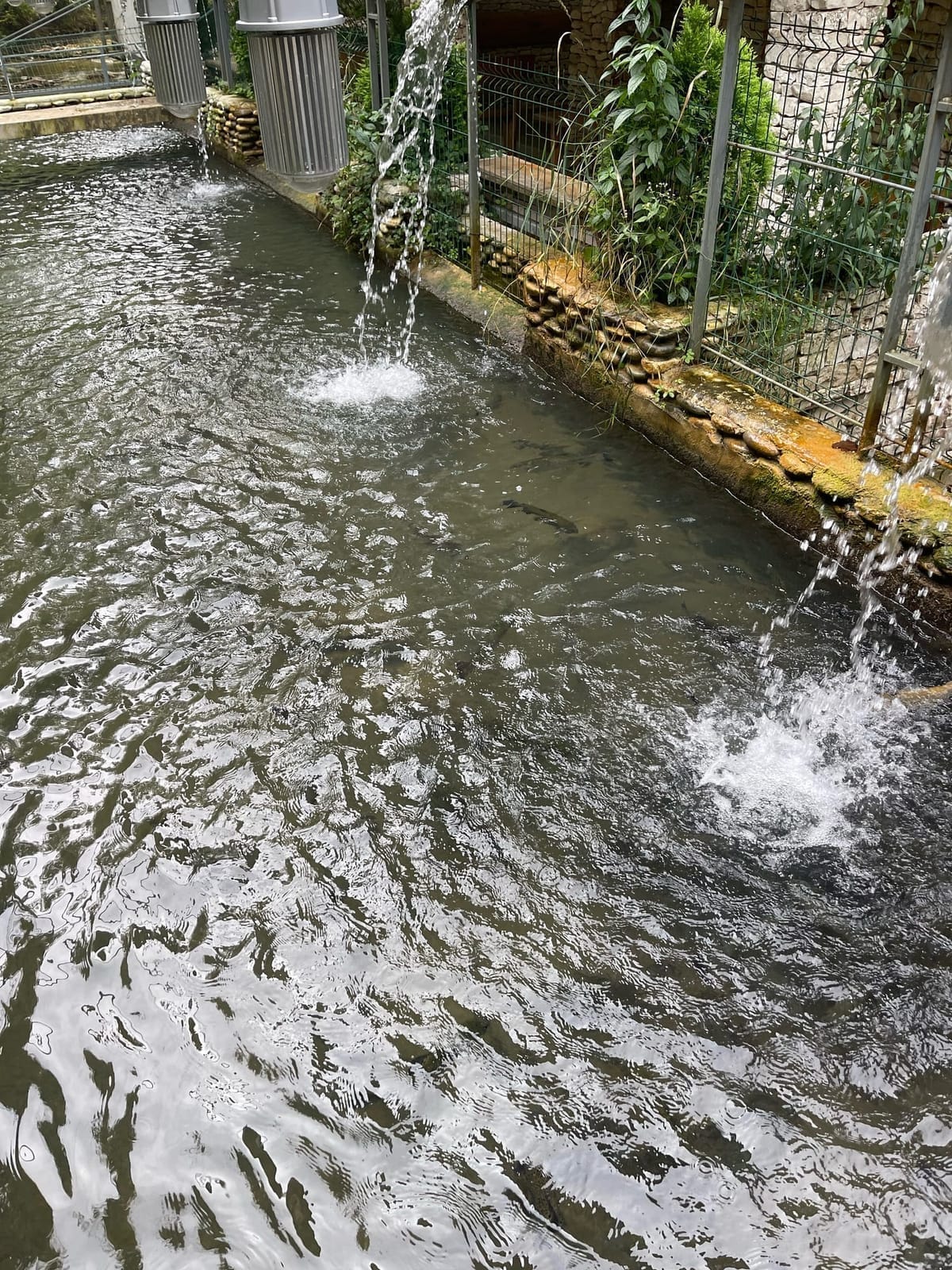 Водопад (Гулрыпш) — фото 2