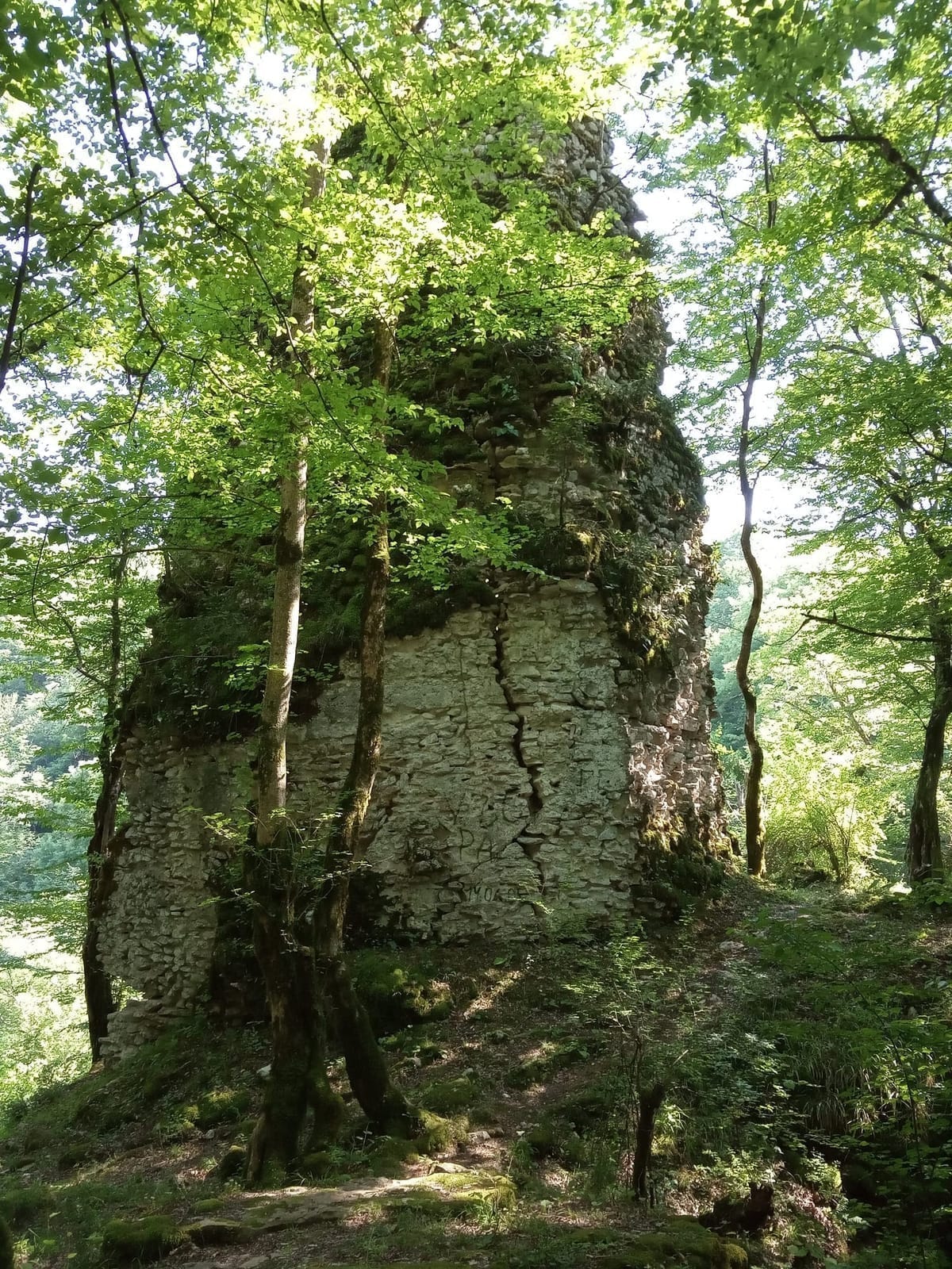 Пещера (Пицунда) — фото 2