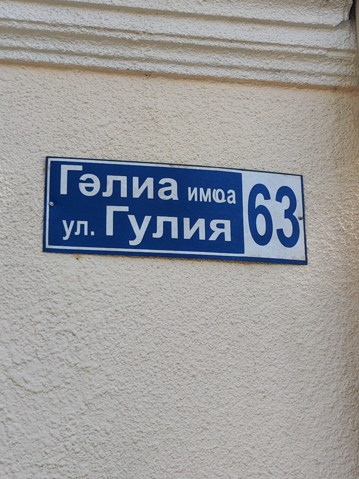 Дом-музей Д. И. Гулиа — фото 4